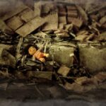 Paterjt Flickr